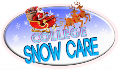 Classy Grass Snow Removal Logo Peoria Ia