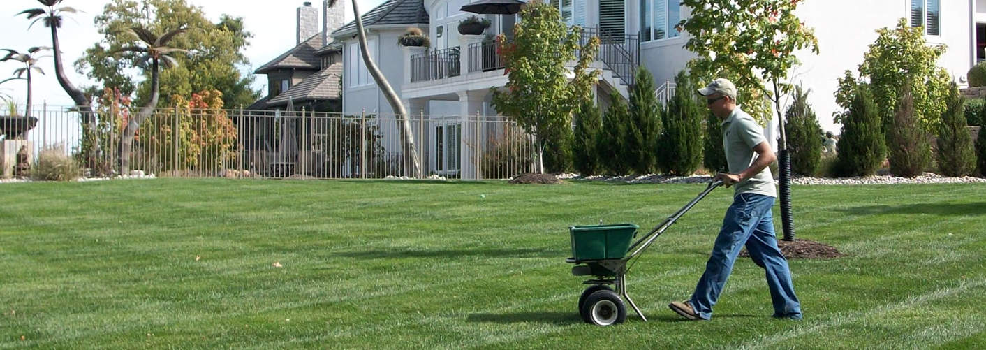 The Complete Guide to Lawn Fertilizer Services