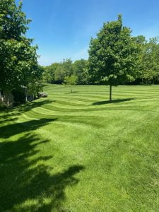 lawn care dubuqe illinois