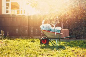 yard waste clean up after storm